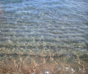 fons-mar-musica
